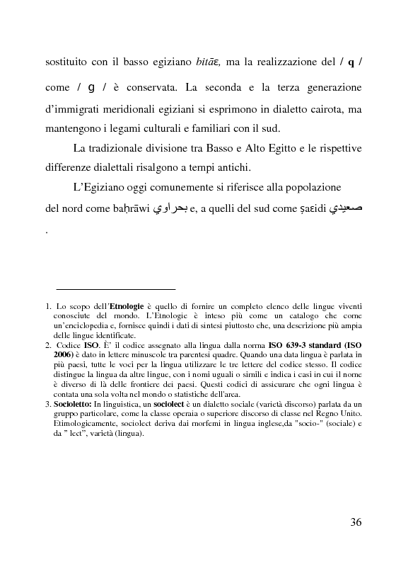 Anteprima della tesi: L'uso del dialetto egiziano nella cartellonistica pubblicitaria, Pagina 3