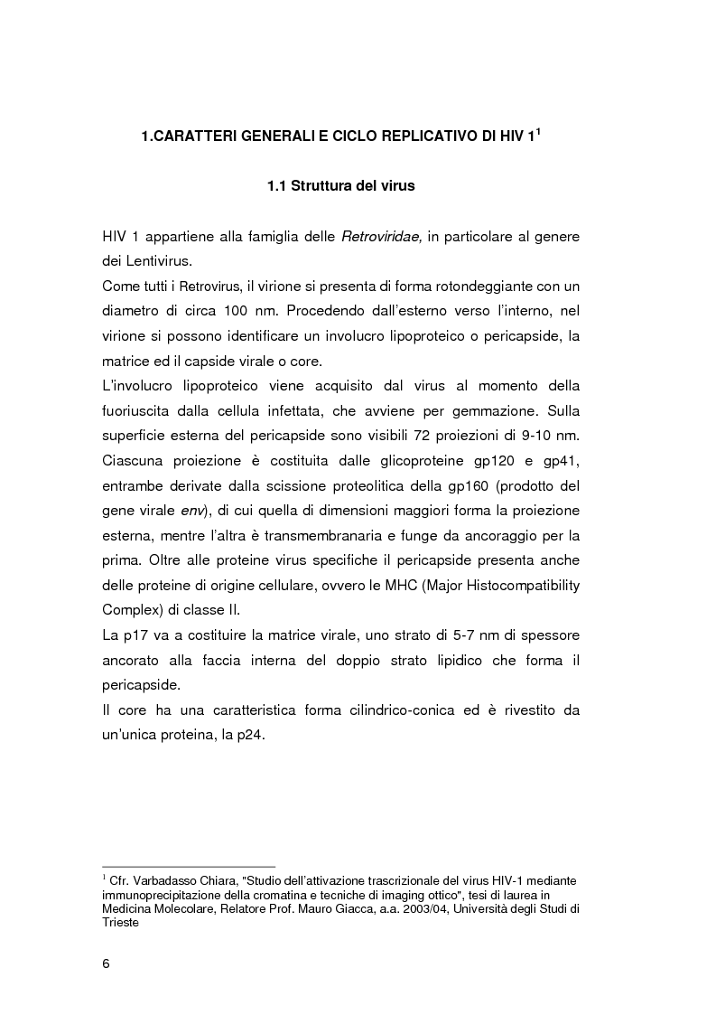 Anteprima della tesi: Tecnologie diagnostiche della sieropositività per HIV in immunometria e biologia molecolare, Pagina 3