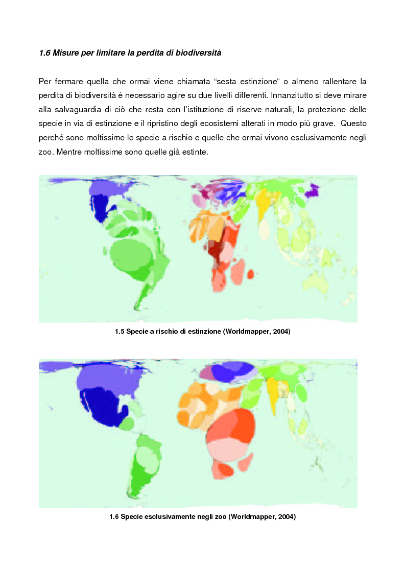 Anteprima della tesi: La biodiversità: una risposta locale ai bisogni globali, Pagina 2