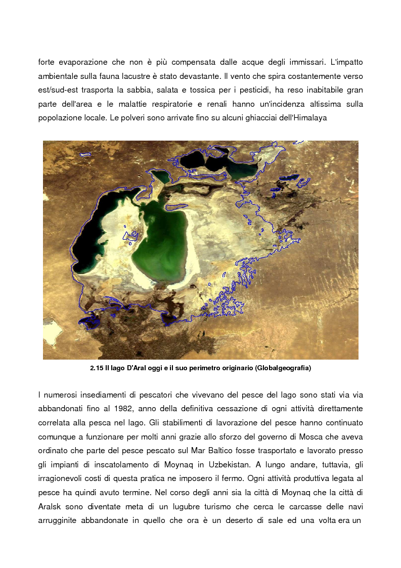 Anteprima della tesi: La biodiversità: una risposta locale ai bisogni globali, Pagina 4