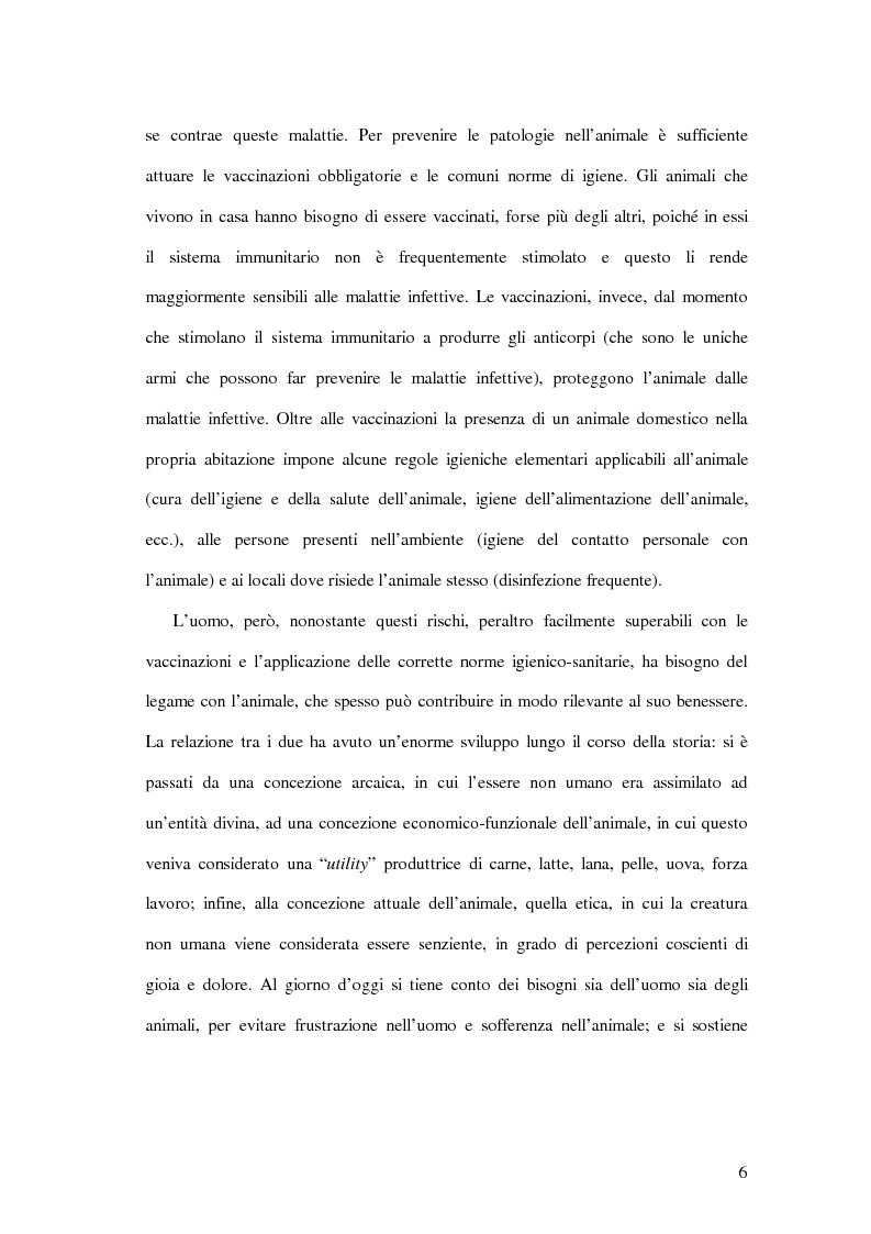 Anteprima della tesi: Norme igienico-sanitarie nella relazione uomo-animale domestico. Risultati di un'indagine esplorativa nel siracusano., Pagina 4