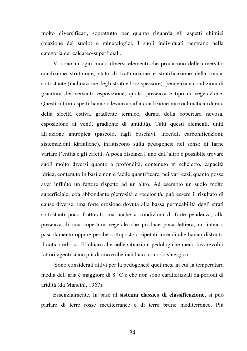 Estratto dalla tesi: Gestione del patrimonio forestale nel Parco Regionale dei Monti Aurunci (LT)
