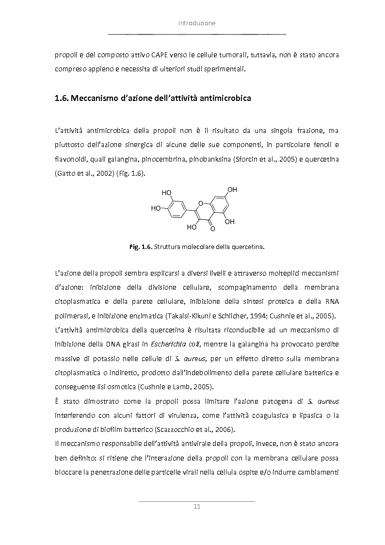 Anteprima della tesi: Attività antimicrobica di propoli microincapsulata, Pagina 12