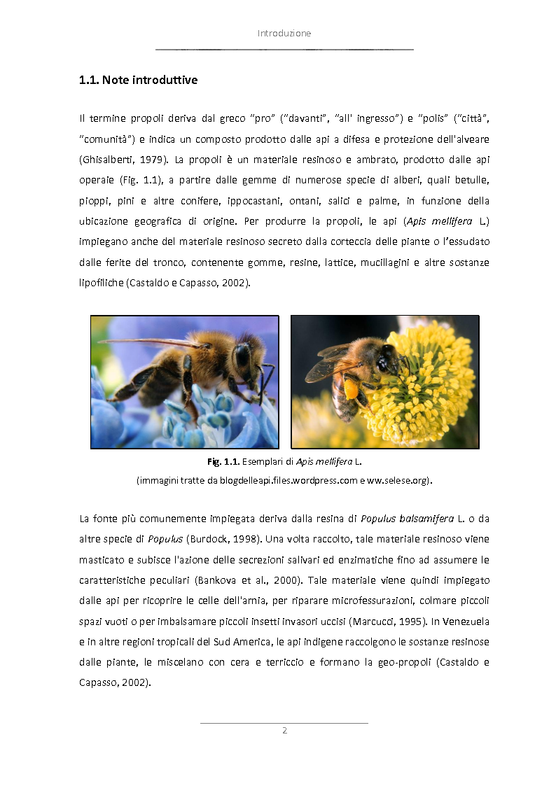 Anteprima della tesi: Attività antimicrobica di propoli microincapsulata, Pagina 3