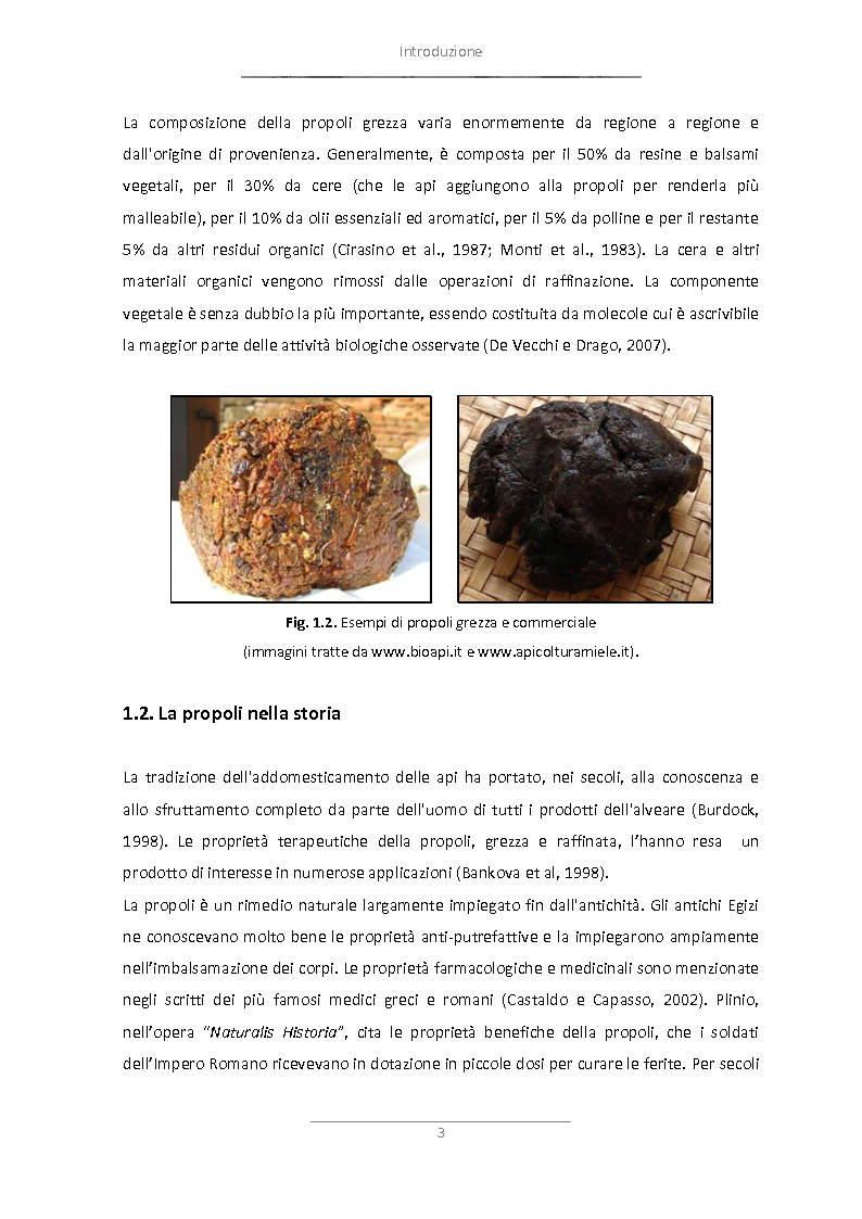 Anteprima della tesi: Attività antimicrobica di propoli microincapsulata, Pagina 4