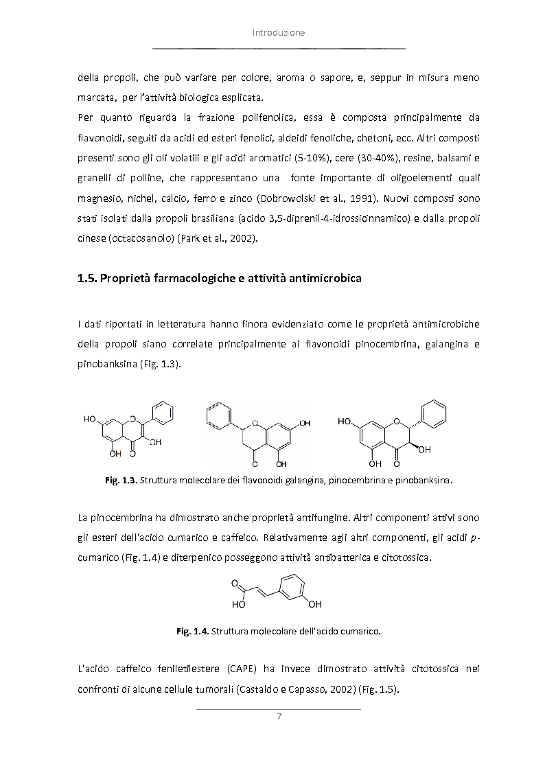 Anteprima della tesi: Attività antimicrobica di propoli microincapsulata, Pagina 8