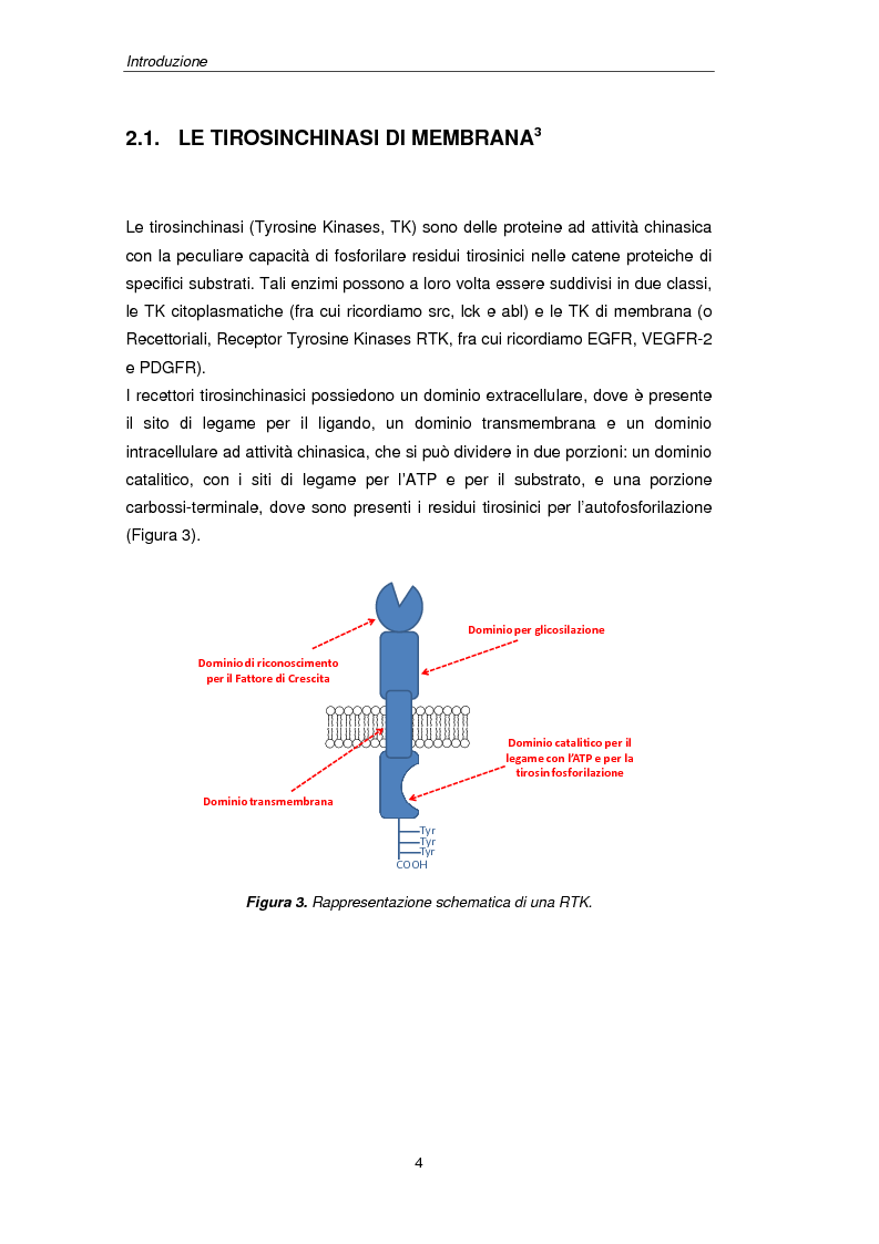 Anteprima della tesi: Inibitori di tirosinchinasi a struttura chinazolinica: sintesi di derivati 4-amminoarilici, Pagina 3