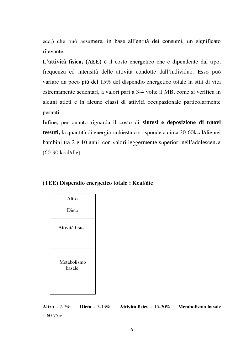 Anteprima della tesi: La calorimetria e lo studio del dispendio energetico, Pagina 6
