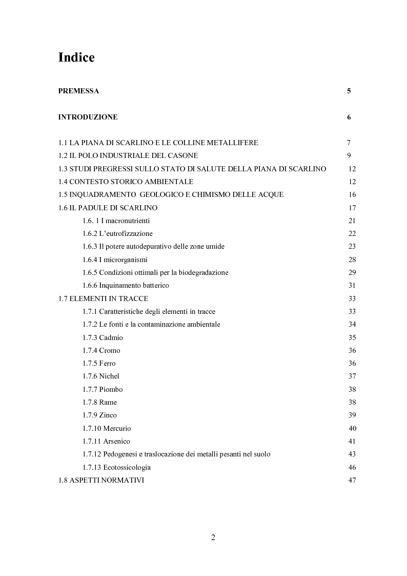 Indice della tesi: Monitoraggio dei parametri chimico-fisici e biologici nella Piana di Scarlino, Pagina 1