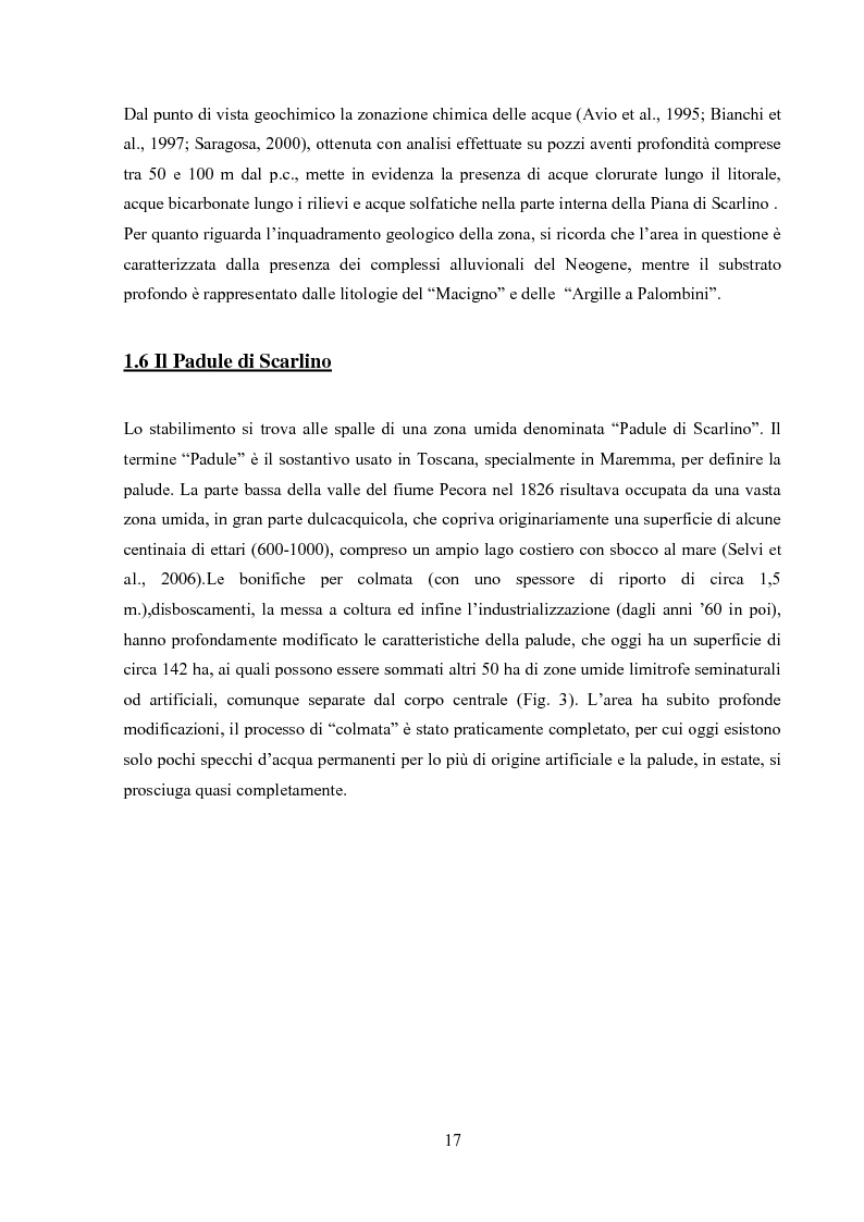 Anteprima della tesi: Monitoraggio dei parametri chimico-fisici e biologici nella Piana di Scarlino, Pagina 14