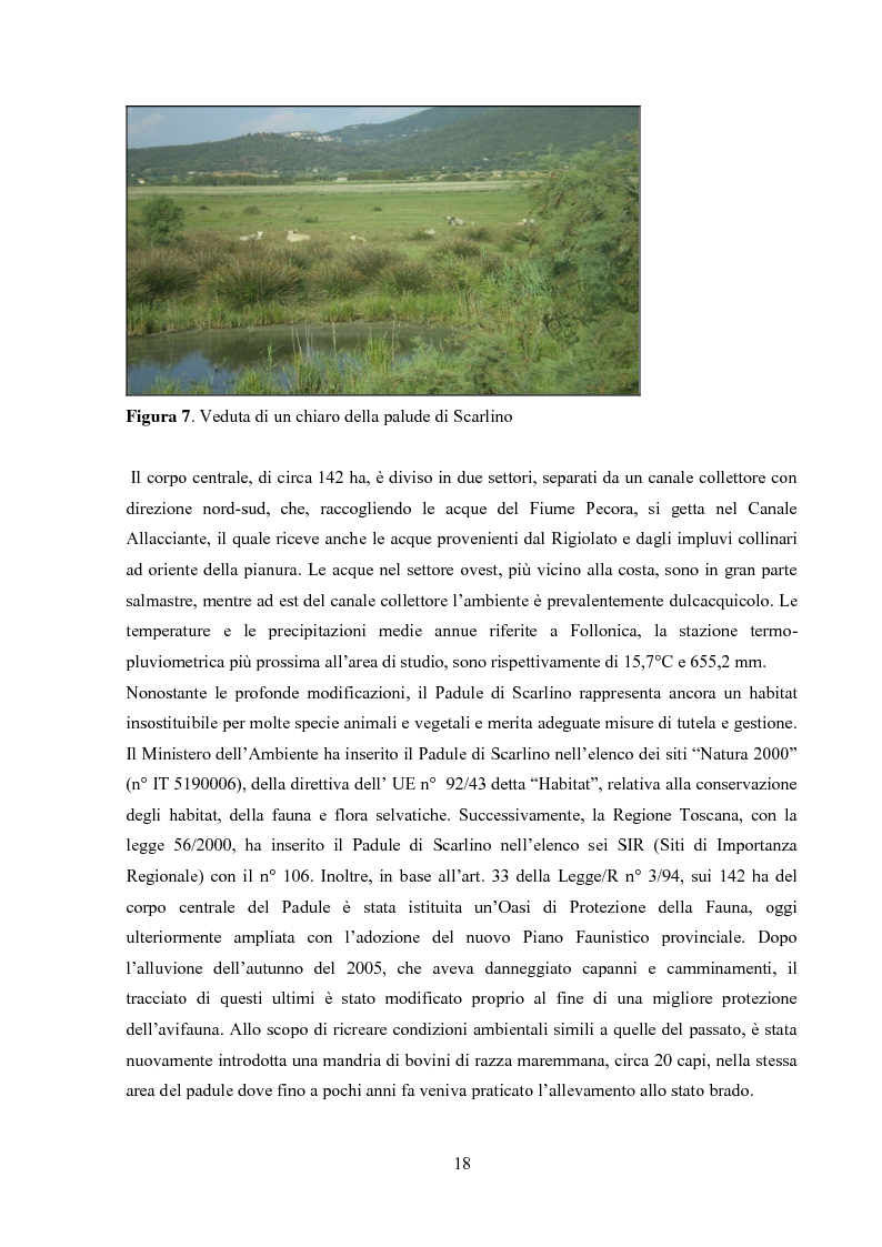 Anteprima della tesi: Monitoraggio dei parametri chimico-fisici e biologici nella Piana di Scarlino, Pagina 15