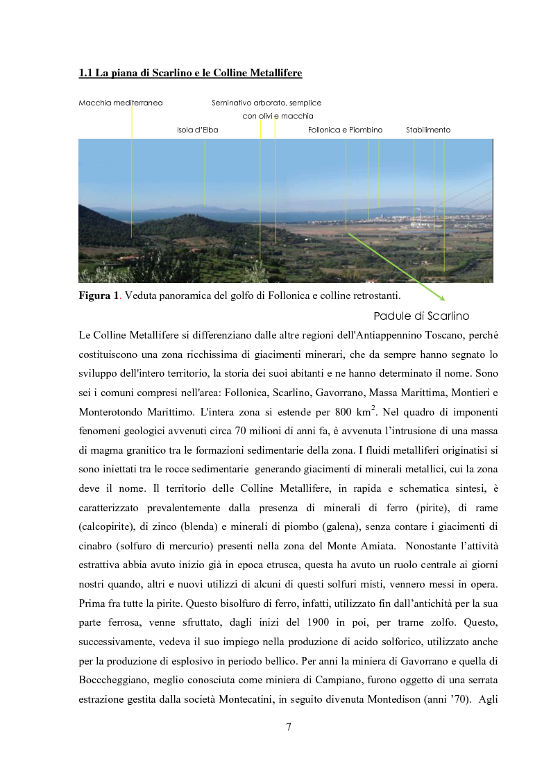 Anteprima della tesi: Monitoraggio dei parametri chimico-fisici e biologici nella Piana di Scarlino, Pagina 4