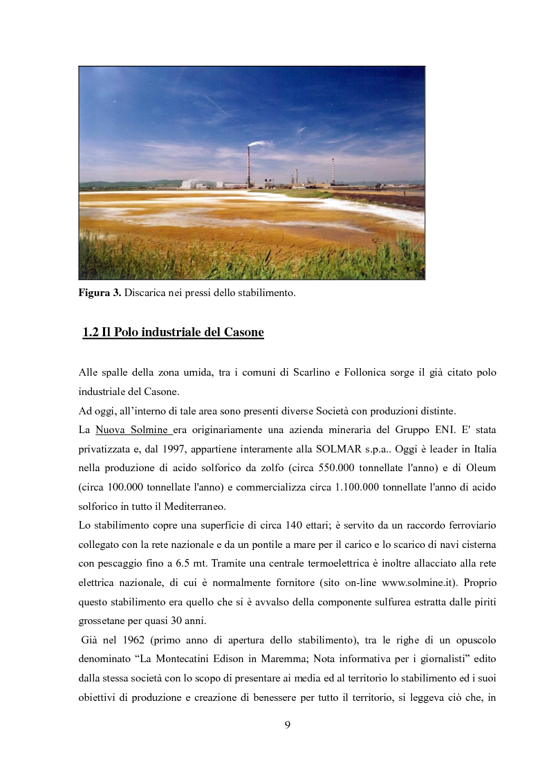 Anteprima della tesi: Monitoraggio dei parametri chimico-fisici e biologici nella Piana di Scarlino, Pagina 6