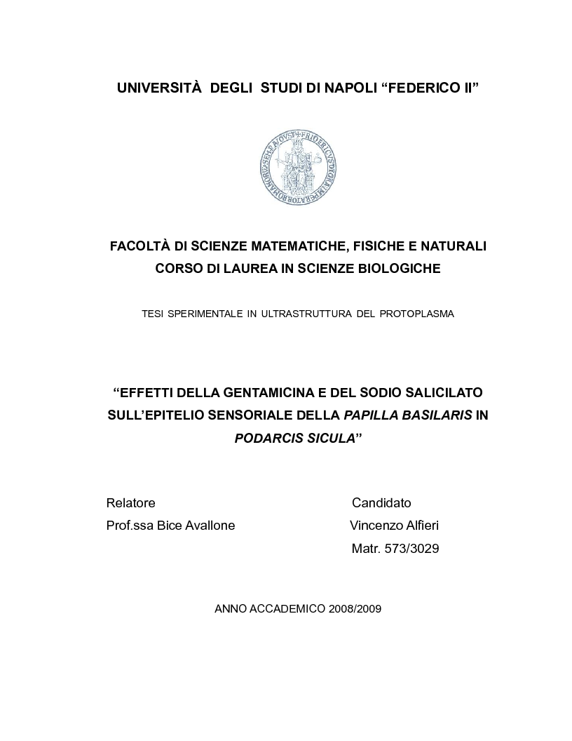 Anteprima della tesi: Effetti della gentamicina e del sodio salicilato sull'epitelio sensoriale della papilla basilaris in podarcis sicula, Pagina 1