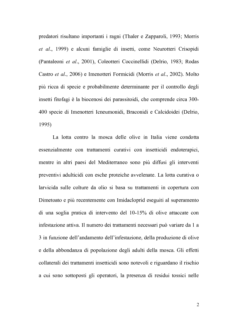 Anteprima della tesi: Indagini sull’impatto di alcune tecniche di lotta contro Bactrocera oleae (Rossi) sull’artropodofauna dell’oliveto, Pagina 3