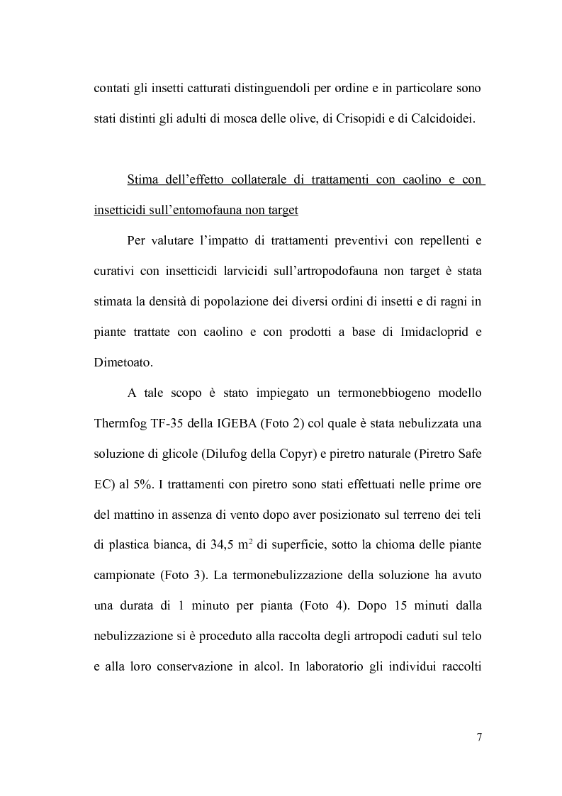 Anteprima della tesi: Indagini sull’impatto di alcune tecniche di lotta contro Bactrocera oleae (Rossi) sull’artropodofauna dell’oliveto, Pagina 8