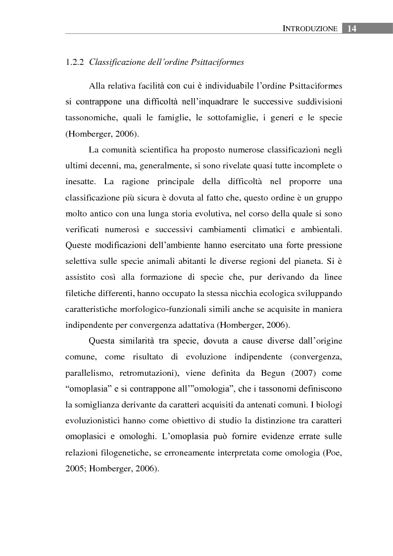 Anteprima della tesi: Aspetti biologici, ecologici e comportamentali di una specie ornitica alloctona: il Parrocchetto monaco (Myiopsitta monachus) a Roma, Pagina 10