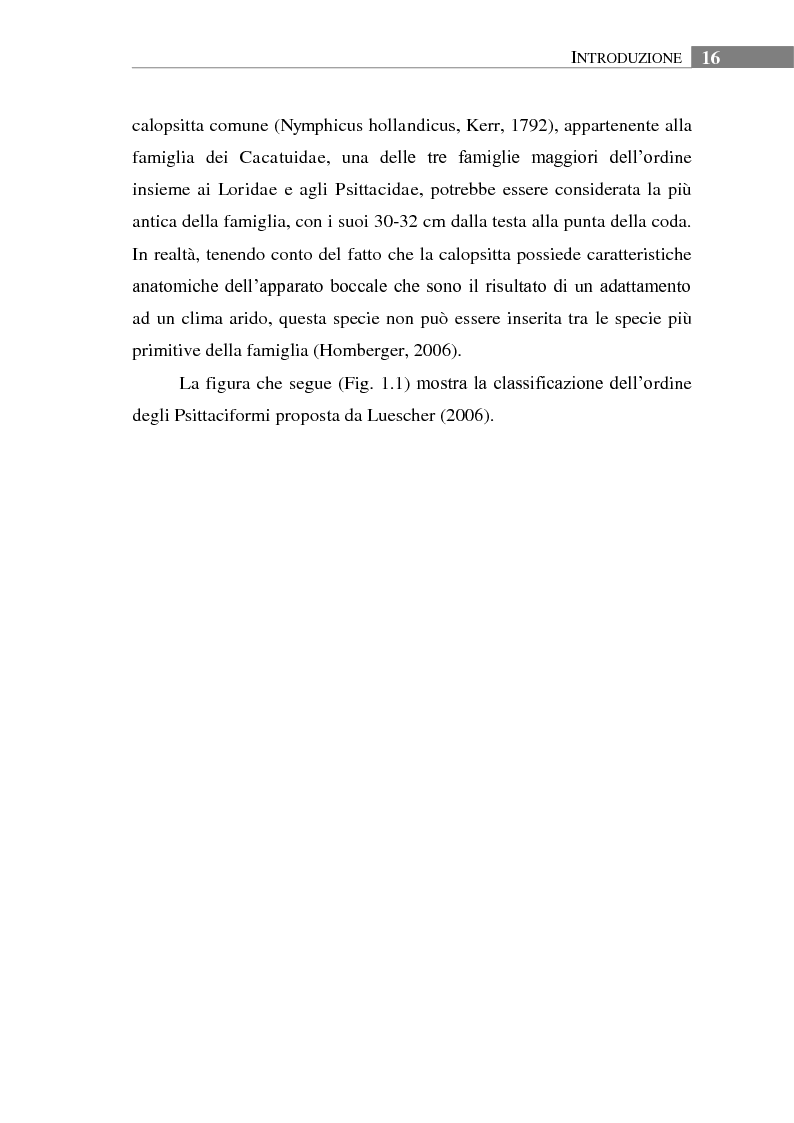 Anteprima della tesi: Aspetti biologici, ecologici e comportamentali di una specie ornitica alloctona: il Parrocchetto monaco (Myiopsitta monachus) a Roma, Pagina 12