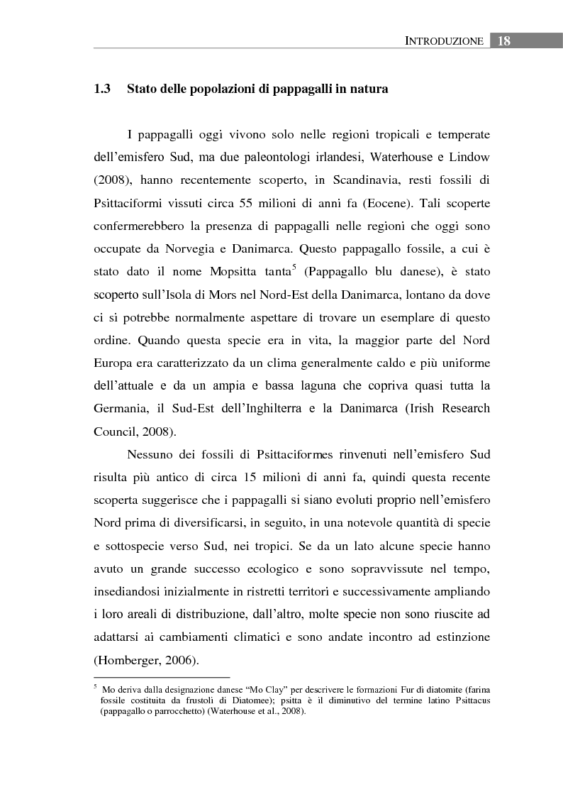 Anteprima della tesi: Aspetti biologici, ecologici e comportamentali di una specie ornitica alloctona: il Parrocchetto monaco (Myiopsitta monachus) a Roma, Pagina 14