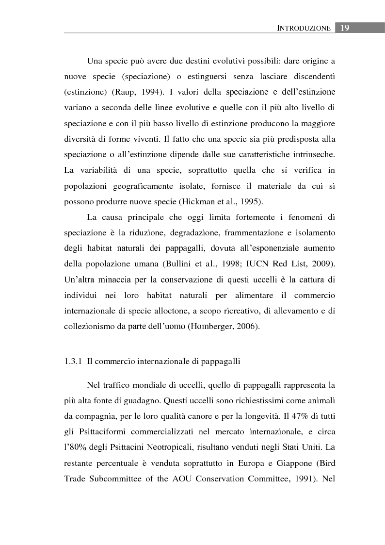 Anteprima della tesi: Aspetti biologici, ecologici e comportamentali di una specie ornitica alloctona: il Parrocchetto monaco (Myiopsitta monachus) a Roma, Pagina 15