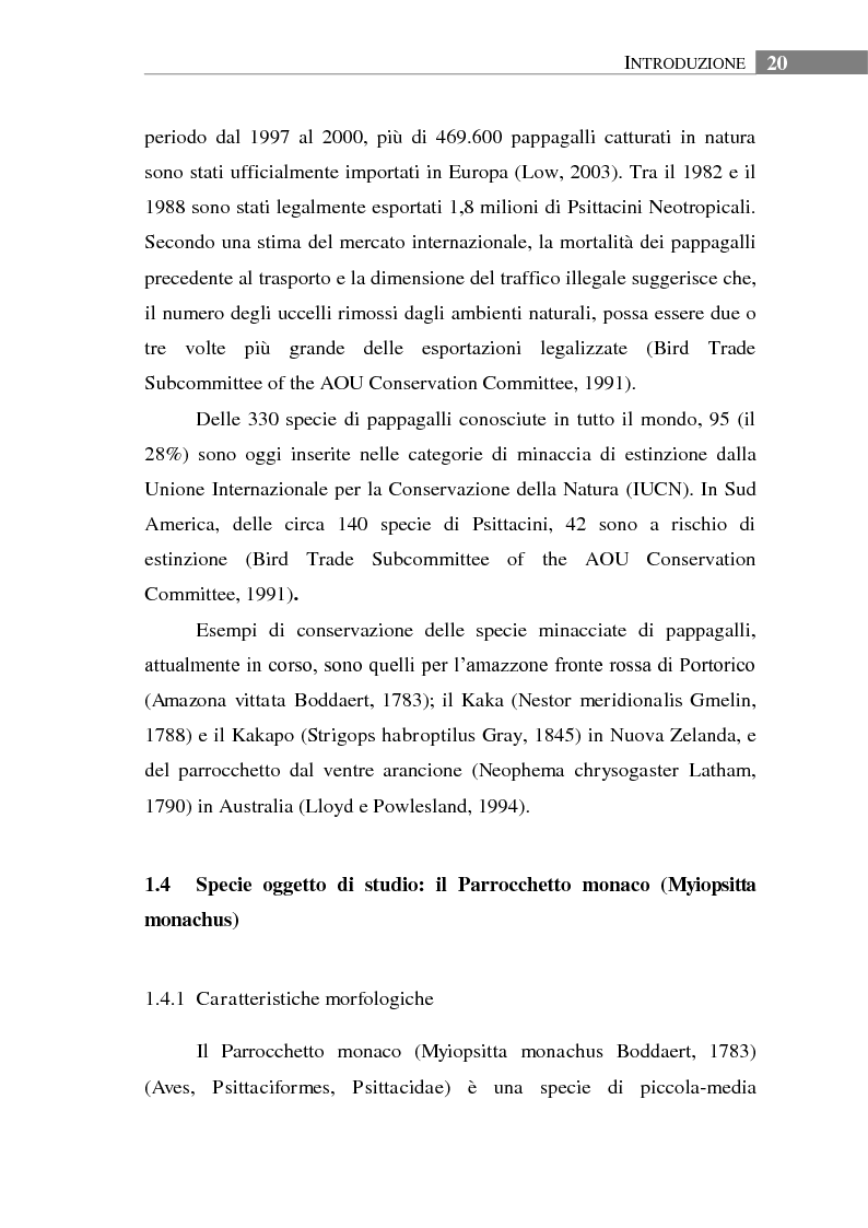 Anteprima della tesi: Aspetti biologici, ecologici e comportamentali di una specie ornitica alloctona: il Parrocchetto monaco (Myiopsitta monachus) a Roma, Pagina 16