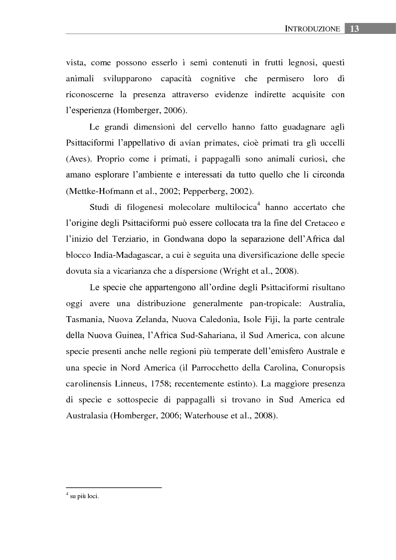 Anteprima della tesi: Aspetti biologici, ecologici e comportamentali di una specie ornitica alloctona: il Parrocchetto monaco (Myiopsitta monachus) a Roma, Pagina 9