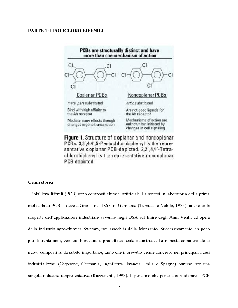 Anteprima della tesi: Caratterizzazione quali-quantitativa dei PoliCloroBifenili in tessuti di ''Caretta caretta'', Pagina 6