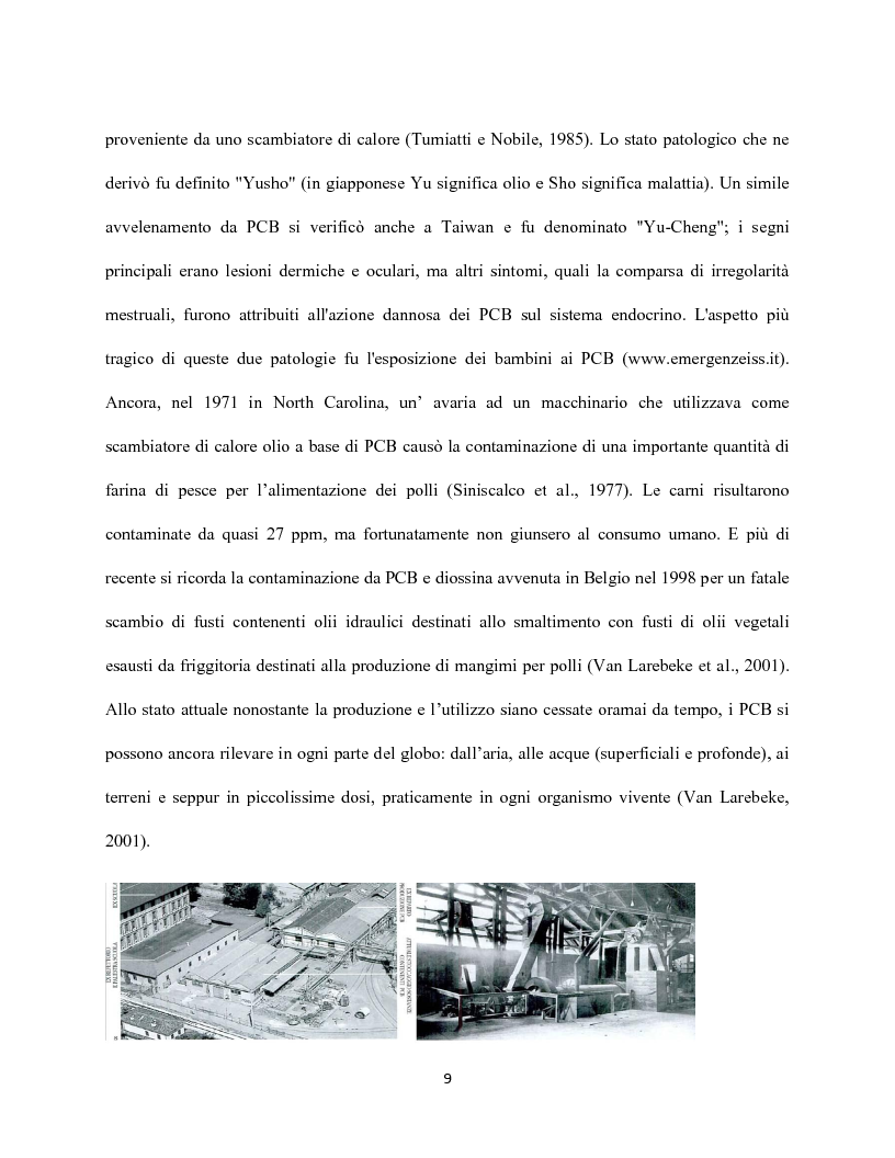 Anteprima della tesi: Caratterizzazione quali-quantitativa dei PoliCloroBifenili in tessuti di ''Caretta caretta'', Pagina 8