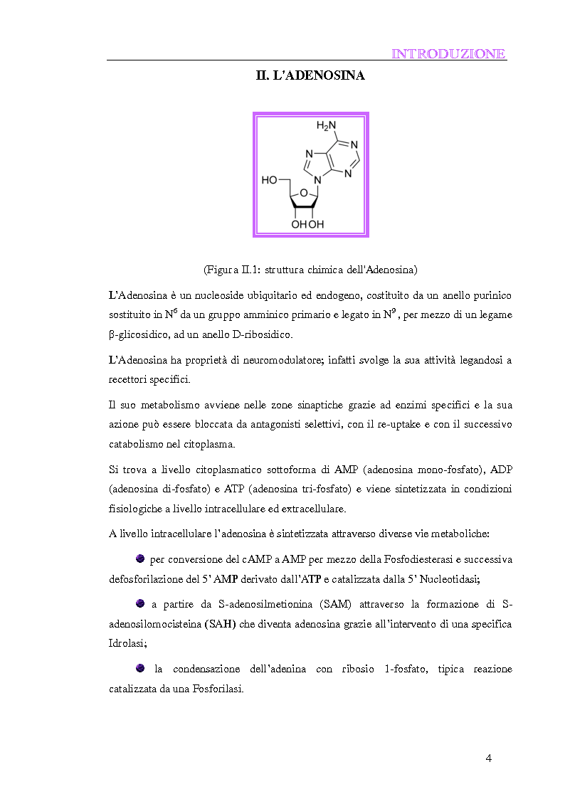 Anteprima della tesi: Composti a struttura 2 fenilftalazinonica: nuovi antagonisti del recettore A3 dell'adenosina, Pagina 4