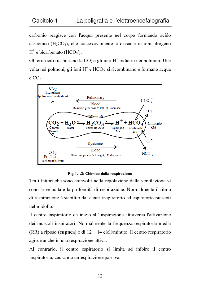 Anteprima della tesi: Estrazione dei ritmi cerebrali da tracciati EEG mediante analisi alle componenti indipendenti, Pagina 13