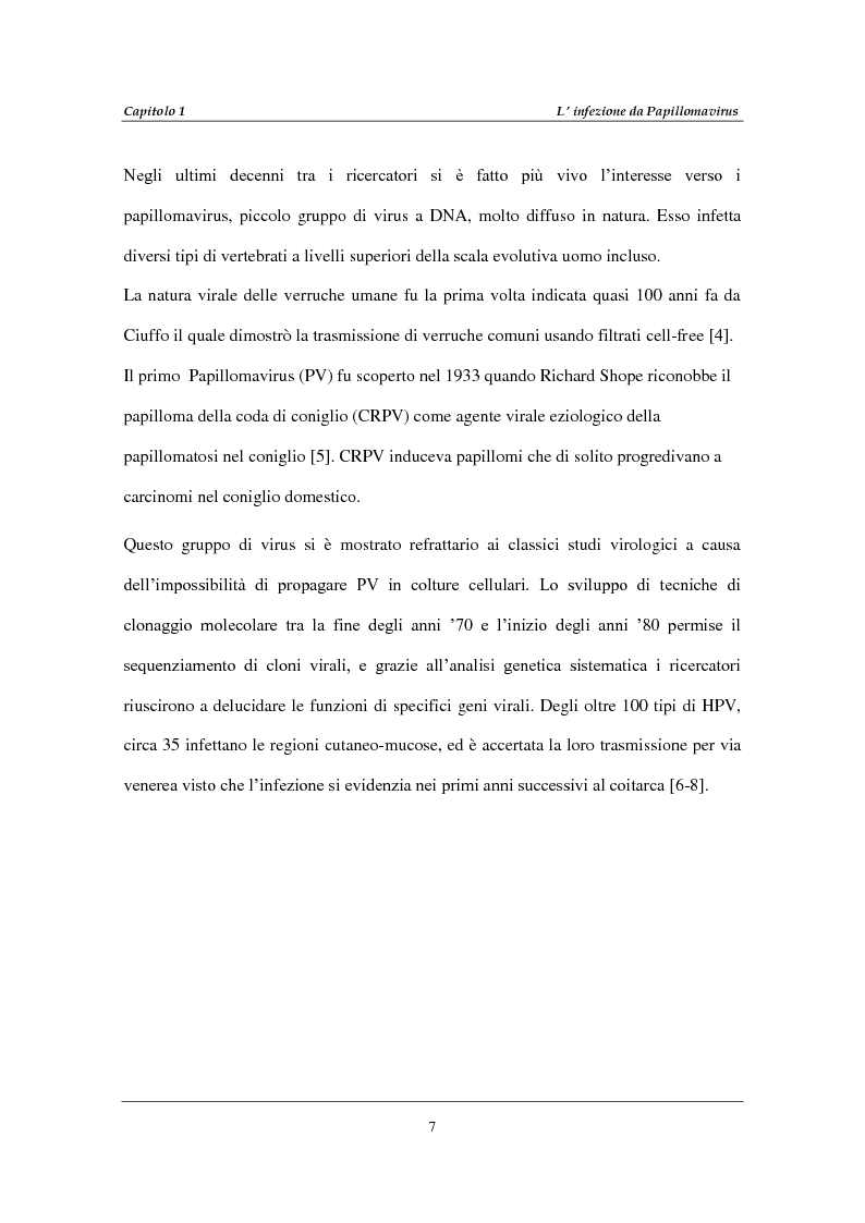 Anteprima della tesi: Infezione da Human Papillomavirus (HPV) in soggetti positivi per HIV-1, Pagina 3