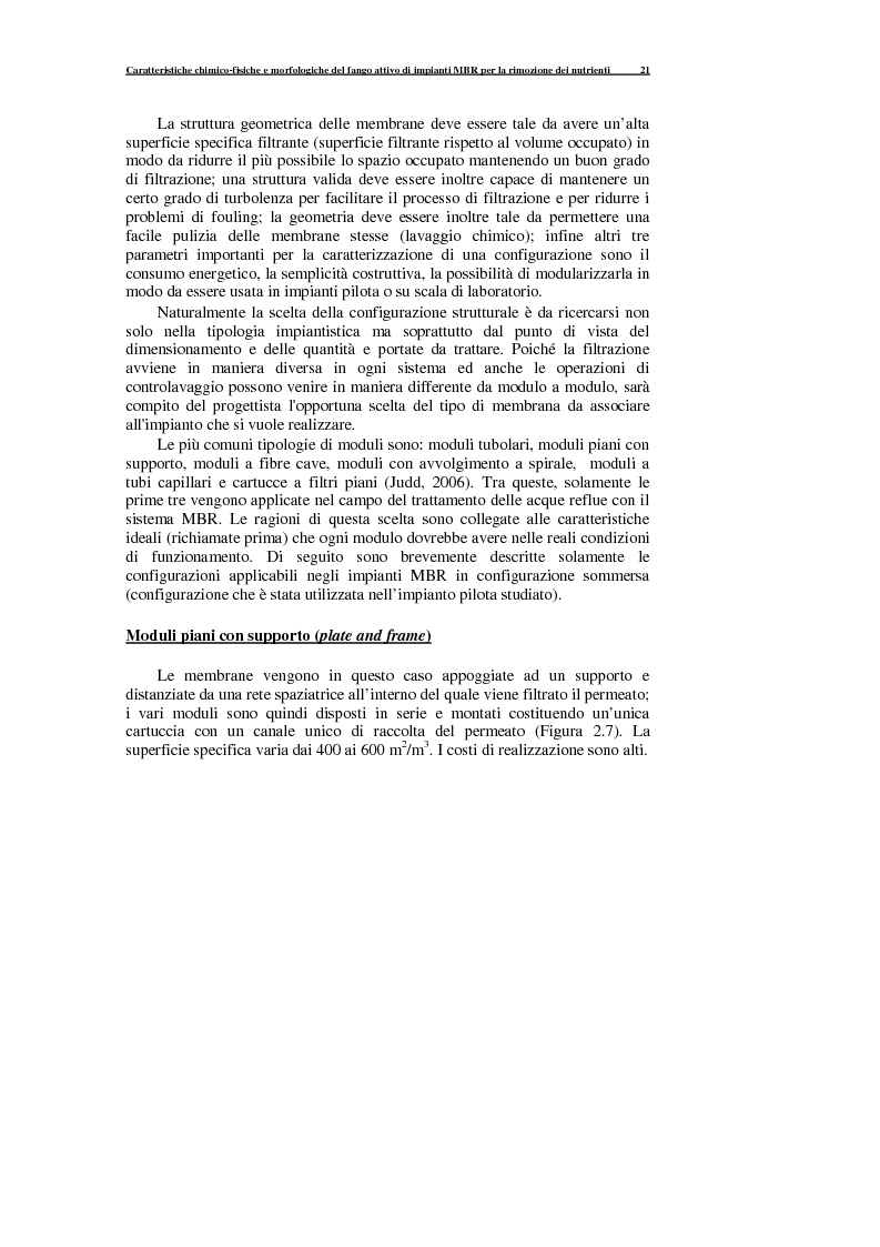 Estratto dalla tesi: Caratteristiche chimico-fisiche e morfologiche del fango attivo di impianti MBR per la rimozione dei nutrienti