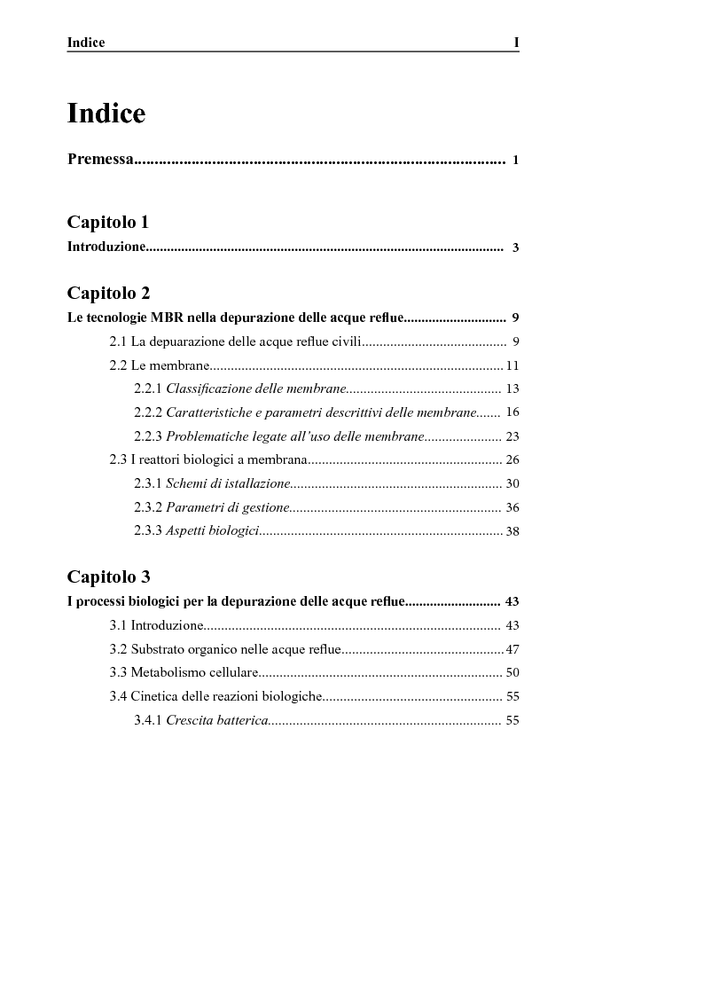 Indice della tesi: Caratteristiche chimico-fisiche e morfologiche del fango attivo di impianti MBR per la rimozione dei nutrienti, Pagina 1