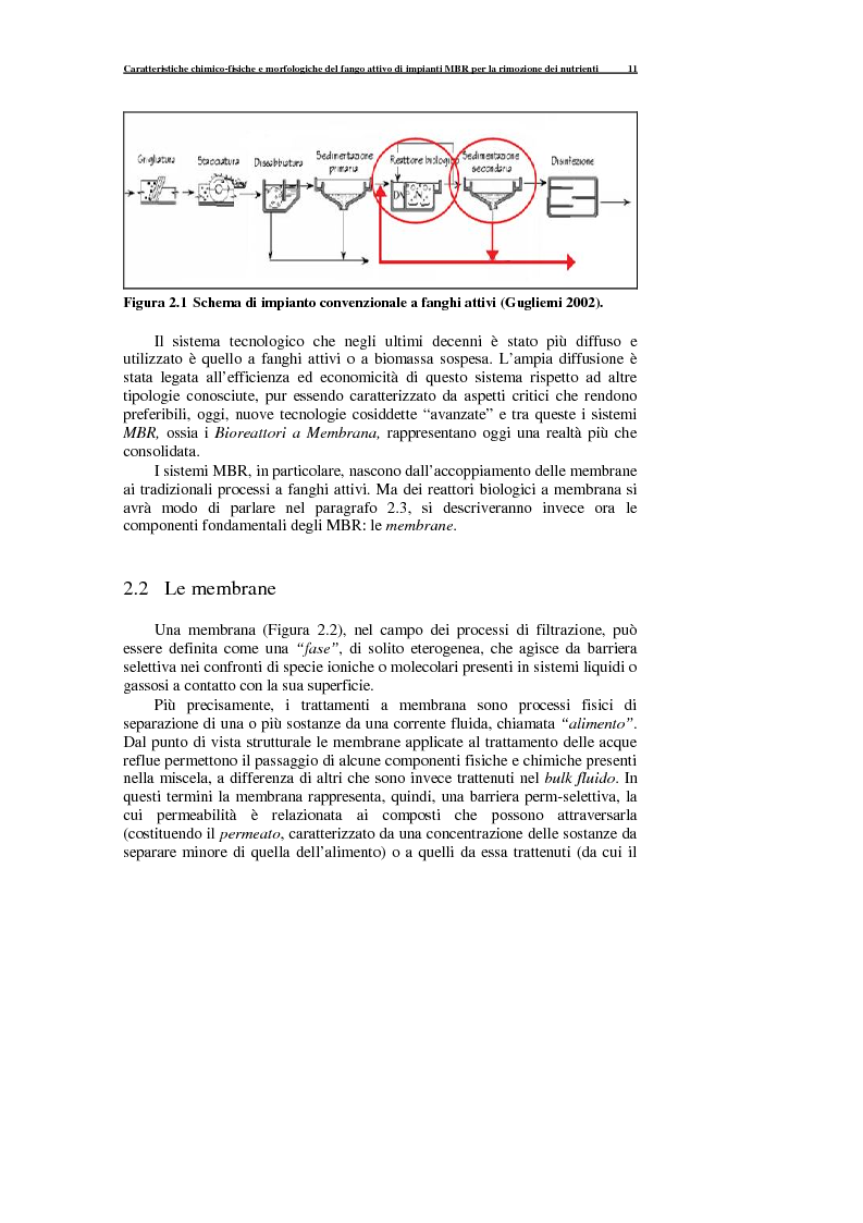Anteprima della tesi: Caratteristiche chimico-fisiche e morfologiche del fango attivo di impianti MBR per la rimozione dei nutrienti, Pagina 12