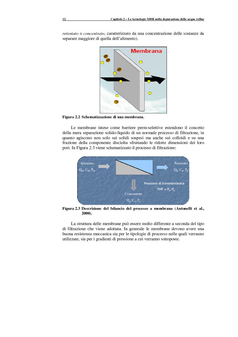 Anteprima della tesi: Caratteristiche chimico-fisiche e morfologiche del fango attivo di impianti MBR per la rimozione dei nutrienti, Pagina 13