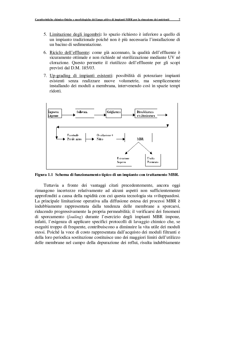 Anteprima della tesi: Caratteristiche chimico-fisiche e morfologiche del fango attivo di impianti MBR per la rimozione dei nutrienti, Pagina 8