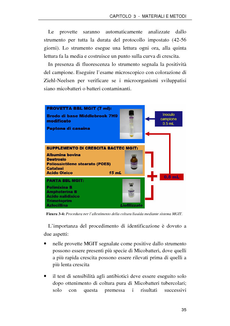 Anteprima della tesi: Effetto della nicotina sulla replicazione di Mycobacterium tuberculosis: possibile utilizzo come farmaco antitubercolare, Pagina 10