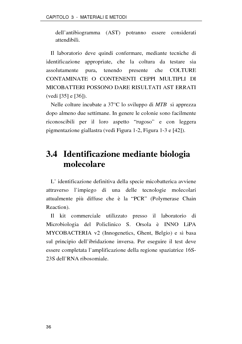 Anteprima della tesi: Effetto della nicotina sulla replicazione di Mycobacterium tuberculosis: possibile utilizzo come farmaco antitubercolare, Pagina 11