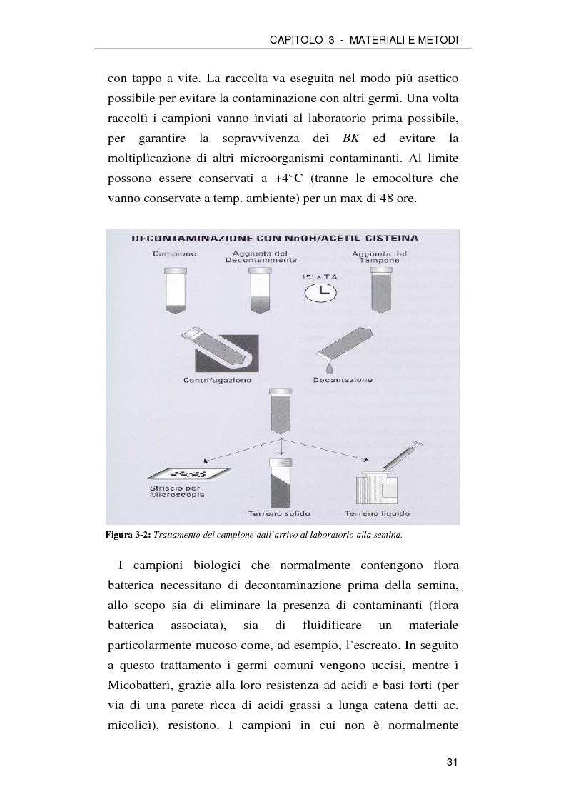 Anteprima della tesi: Effetto della nicotina sulla replicazione di Mycobacterium tuberculosis: possibile utilizzo come farmaco antitubercolare, Pagina 6