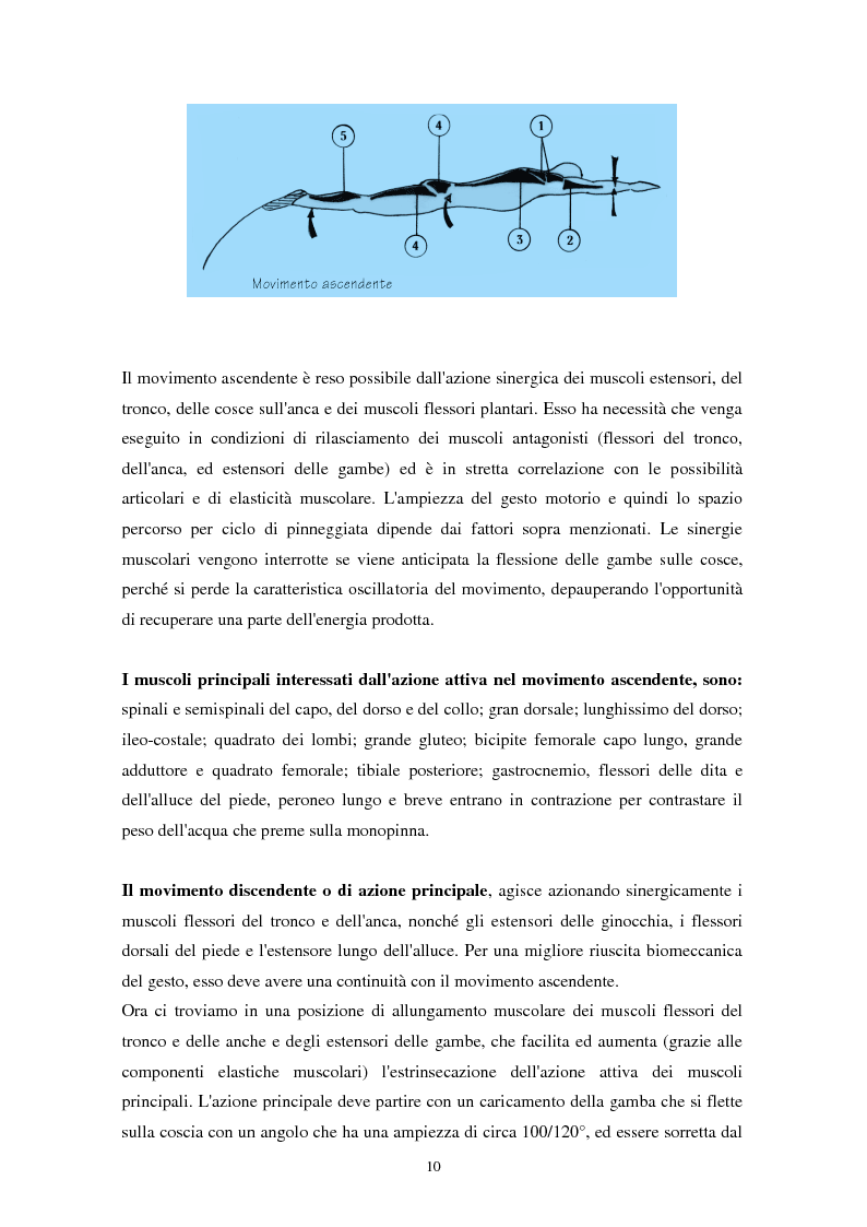Estratto dalla tesi: Le tendiniti del comparto anteriore di caviglia negli atleti che praticano nuoto pinnato: Valutazione e proposta di trattamento.