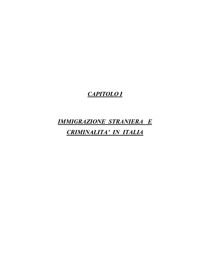 Anteprima della tesi: La criminalità dei minori stranieri e l'intervento sociale, Pagina 13