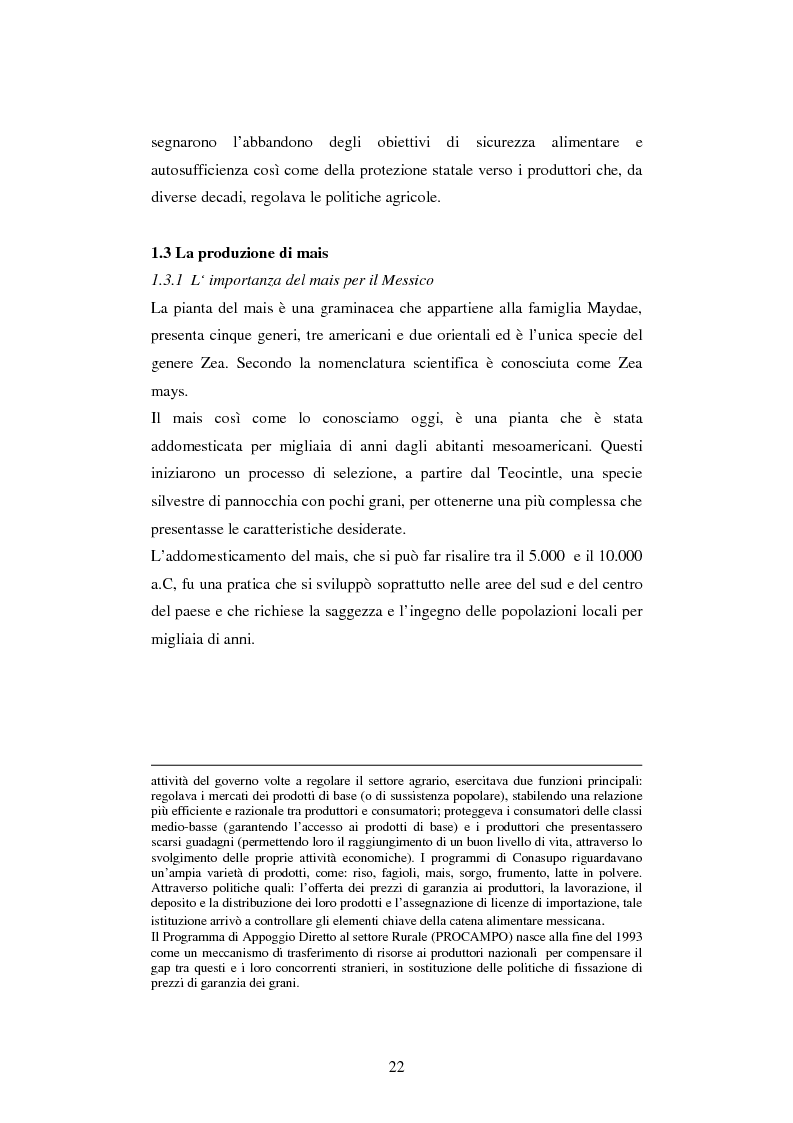 Estratto dalla tesi: Produzione agro-ecologica e sviluppo locale: il mercato del mais biologico di Vicente Guerrero in Messico.