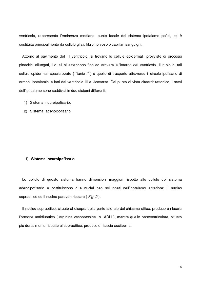 Anteprima della tesi: Tumori dell'asse ipotalamico-ipofisario e la loro influenza sulla fertilità, Pagina 3