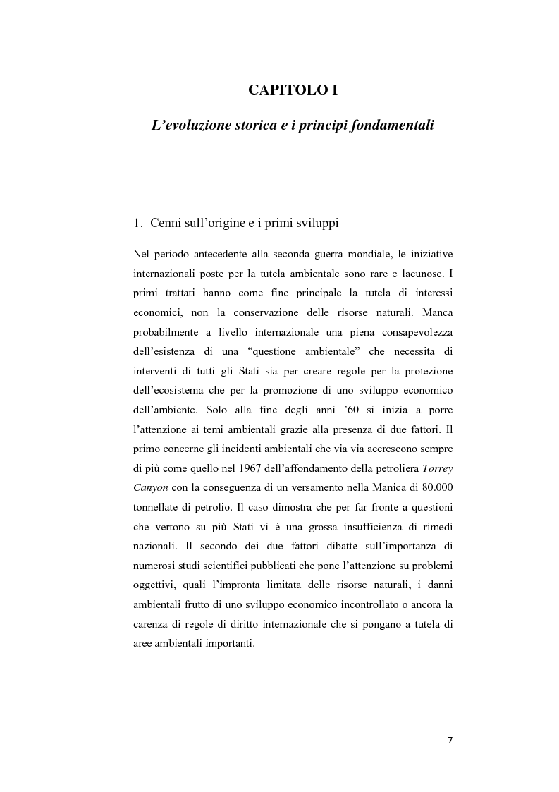 Anteprima della tesi: Ecosystem approach: una nuova strategia per la salvaguardia della biodiversità, Pagina 4