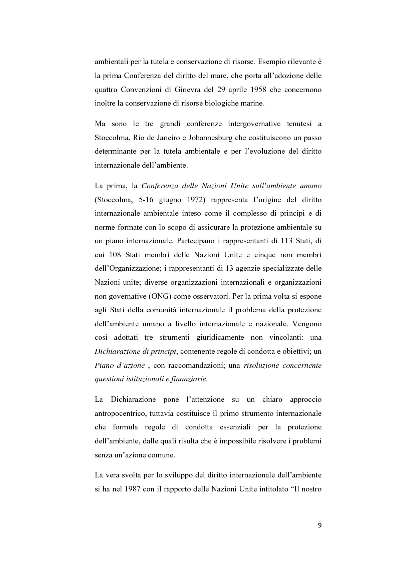 Anteprima della tesi: Ecosystem approach: una nuova strategia per la salvaguardia della biodiversità, Pagina 6