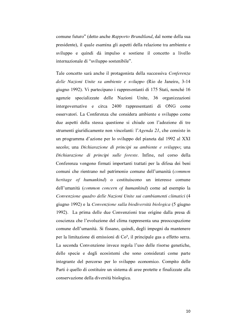 Anteprima della tesi: Ecosystem approach: una nuova strategia per la salvaguardia della biodiversità, Pagina 7