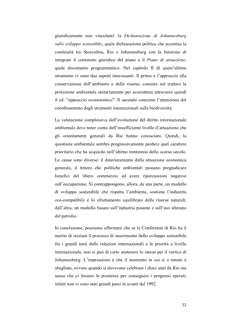 Anteprima della tesi: Ecosystem approach: una nuova strategia per la salvaguardia della biodiversità, Pagina 9