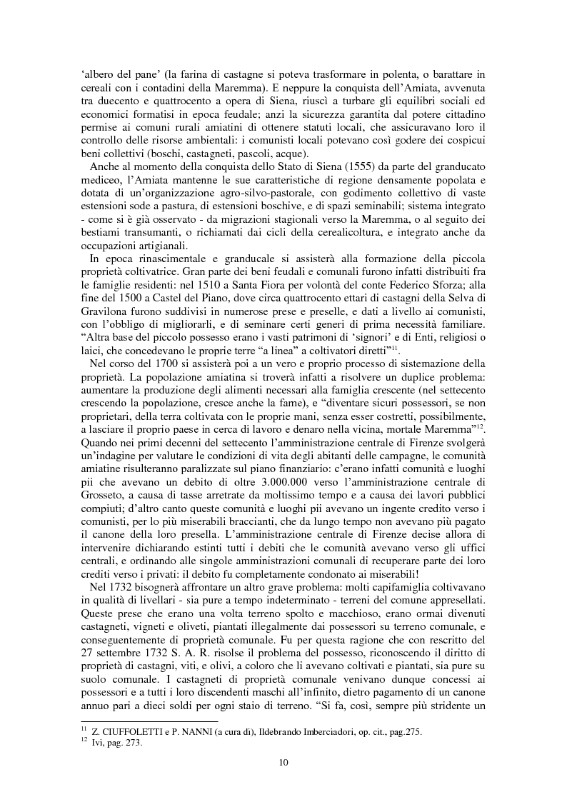 Anteprima della tesi: L'Amiata tra '600 e '800 - Una vicenda geostorica, Pagina 5