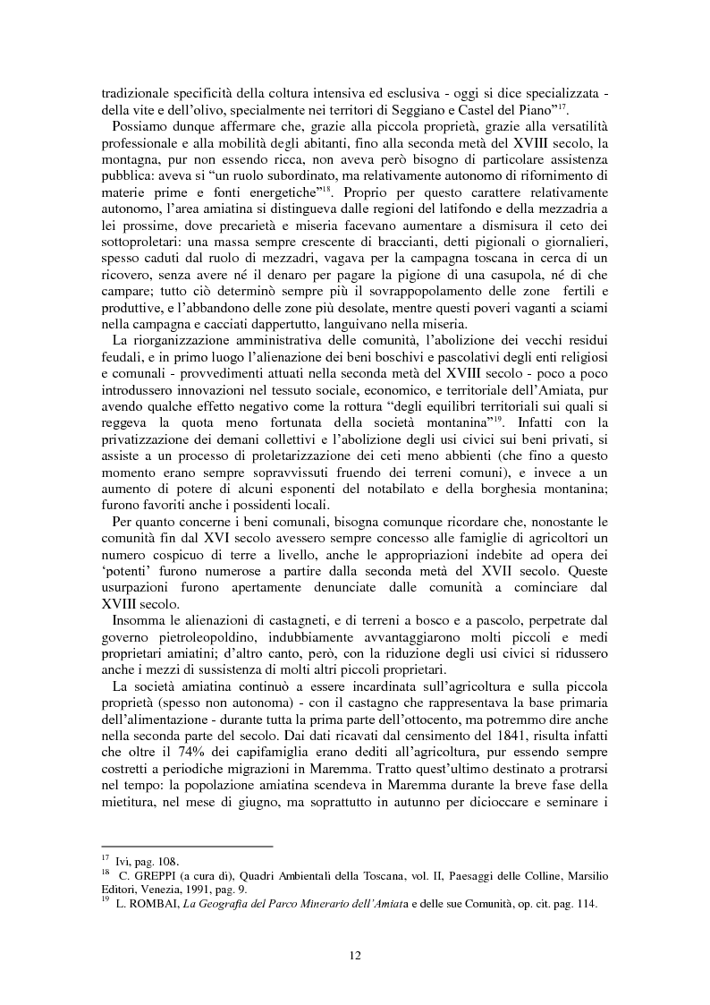 Anteprima della tesi: L'Amiata tra '600 e '800 - Una vicenda geostorica, Pagina 7