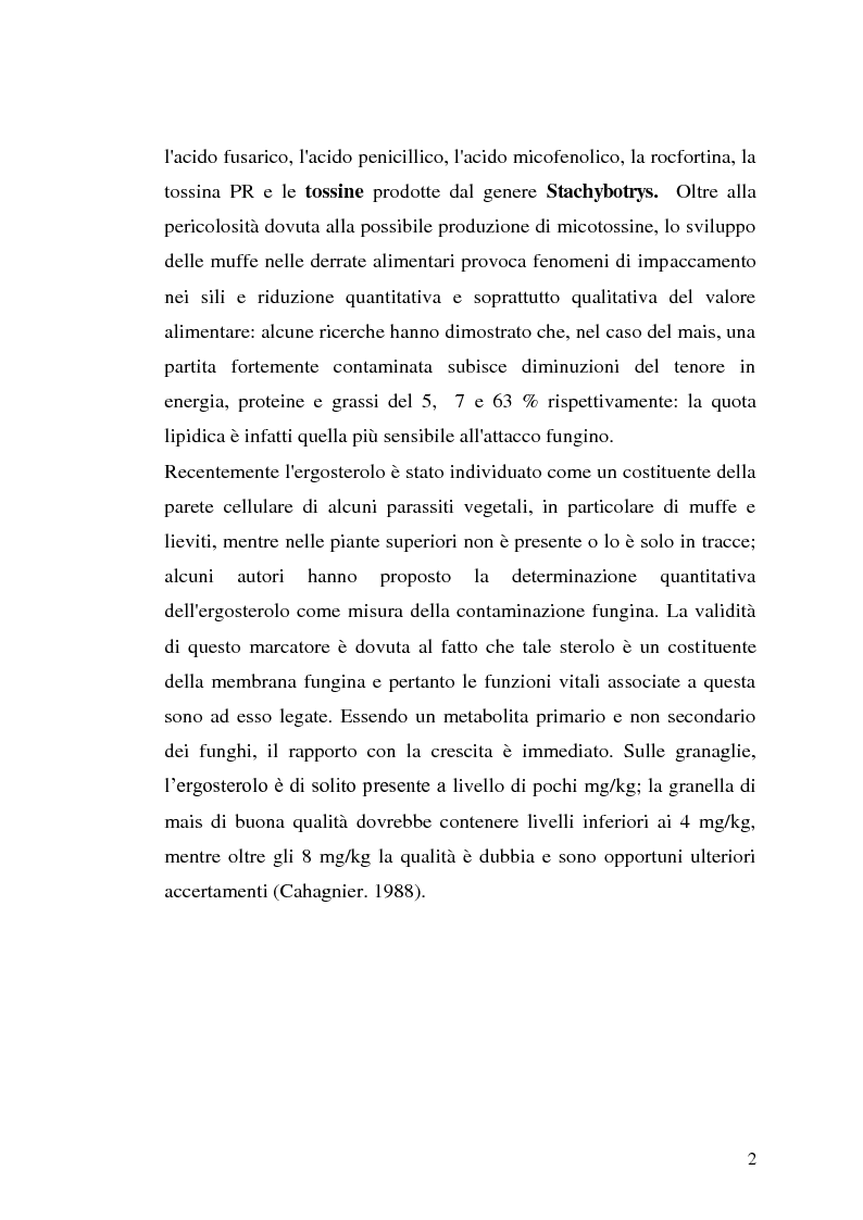 Anteprima della tesi: Fusariotossine: Tossicità alimentare ed ambientale, Pagina 3